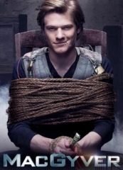 百战天龙第五季