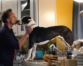 神兽第一季 神兽第一季