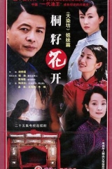 桐籽花开 桐籽花开